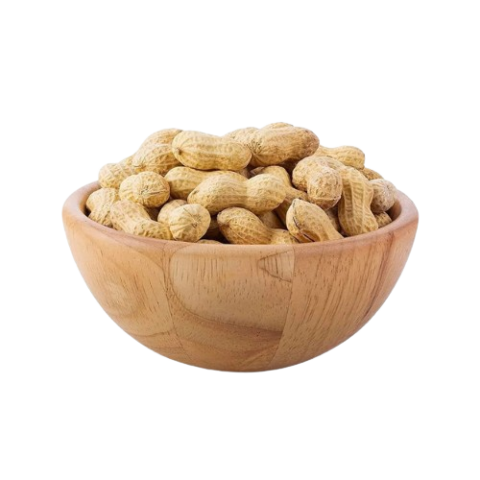 GG-37 Groundnut